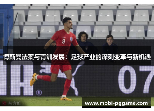 博斯曼法案与青训发展：足球产业的深刻变革与新机遇