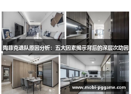 陶菲克退队原因分析：五大因素揭示背后的深层次动因