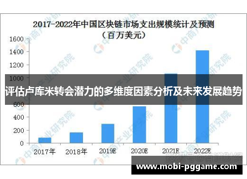 评估卢库米转会潜力的多维度因素分析及未来发展趋势