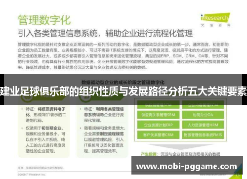 建业足球俱乐部的组织性质与发展路径分析五大关键要素